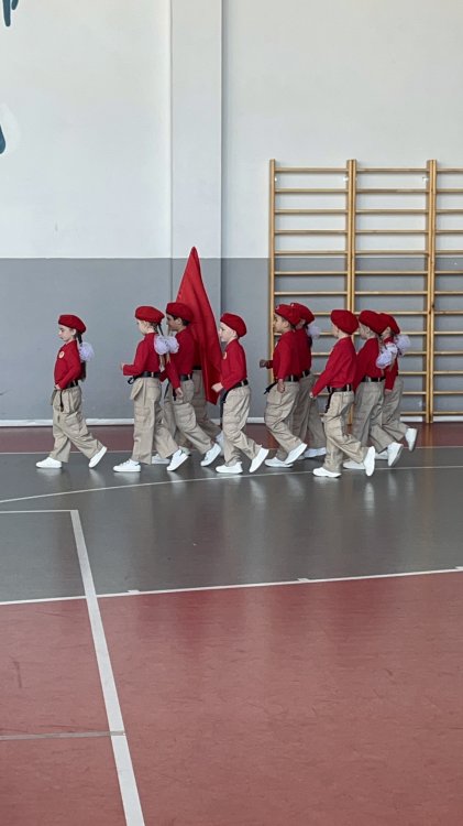 img (5)